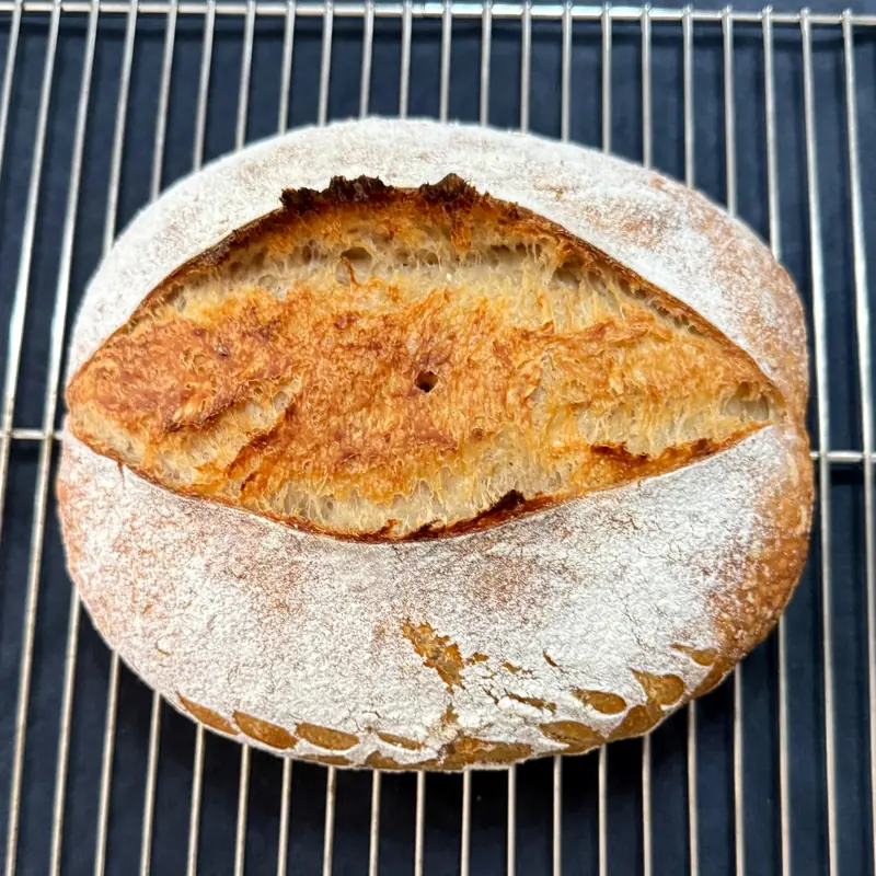 A floured sourdough loaf cooling on a wire rack